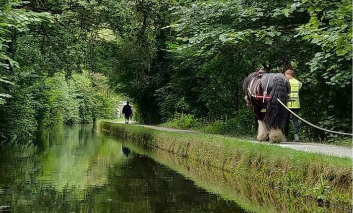 Scene of one of Llangollen Wharf's horse drawn boats travelling a long the Llangollen Canal.